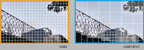 H265